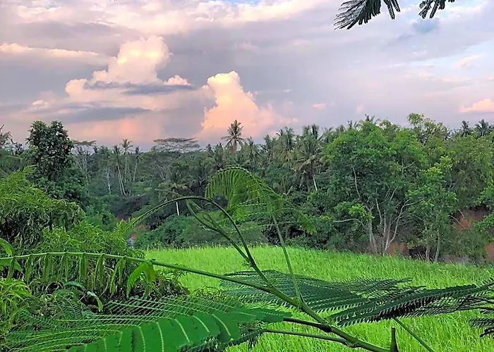 ロッジ Sua Bali