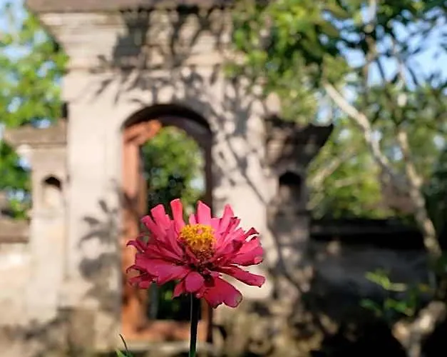 Sua Bali ロッジ *